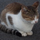 2013-10-06_すやぁ
