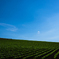 Blue Sky