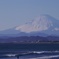 湘南からの富士山