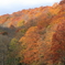 紅葉の蔦温泉