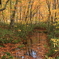 紅葉の蔦温泉