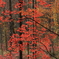 紅葉の蔦温泉
