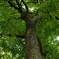 日比谷公園