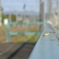 カエル