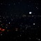 夜冬に咲く