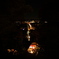 DSCF3755