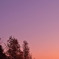 夕焼けと月