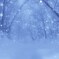 Song for winter