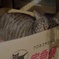 クロネコに運ばれて来たボス猫のジャイコ