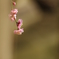 20130309-135435