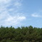 2009_10240032