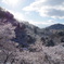 舞い立つ雪