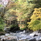 かずら橋①