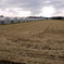 b-09oct 096
