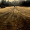 Grow shadow