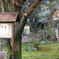 近所のお寺