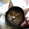 なにつけとんねん。