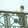 君だけを見ていた。