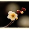 DSC_8880_1_029_1