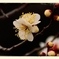 DSC_8883_1_030_1