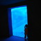 into the blue