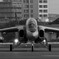 T-4“Dolphin”