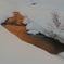 雪の川