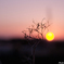「佇・夕暮」