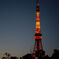 IMGP4265_rt