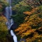 紅葉の猿尾滝