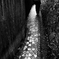 雨の路地