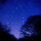 星降る夜空に・・・