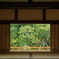 小春