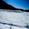 雪原に映える足跡
