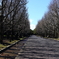万博公園