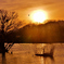 Sun Rises