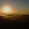 朝日に映えて