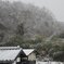ほとんど雪の降らない兵庫県南部の雪
