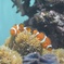 なかよし