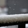 粉雪舞う＾＾