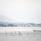松江百景　雪の朝　宍道湖