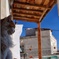 カッパドキアの猫2