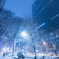 新宿雪景色