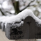 雪積もったよ