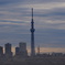SKYTREE in the morning.