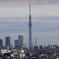 SKYTREE in the afternoon.