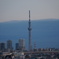 SKYTREE in the evening.