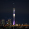 SKYTREE in the night.