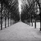 Palais Royal 