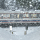 雪
